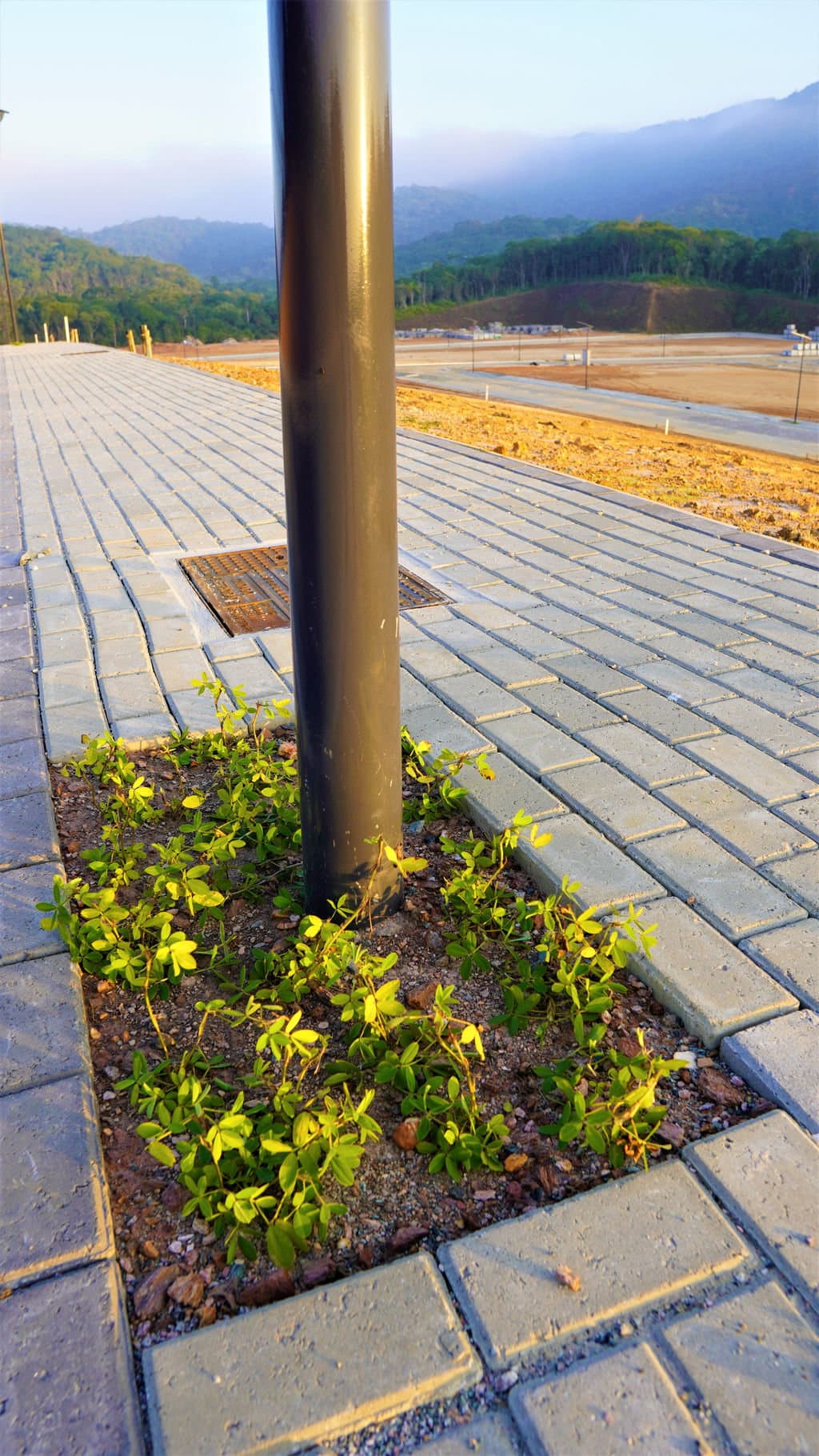 Colinas de Camboriú